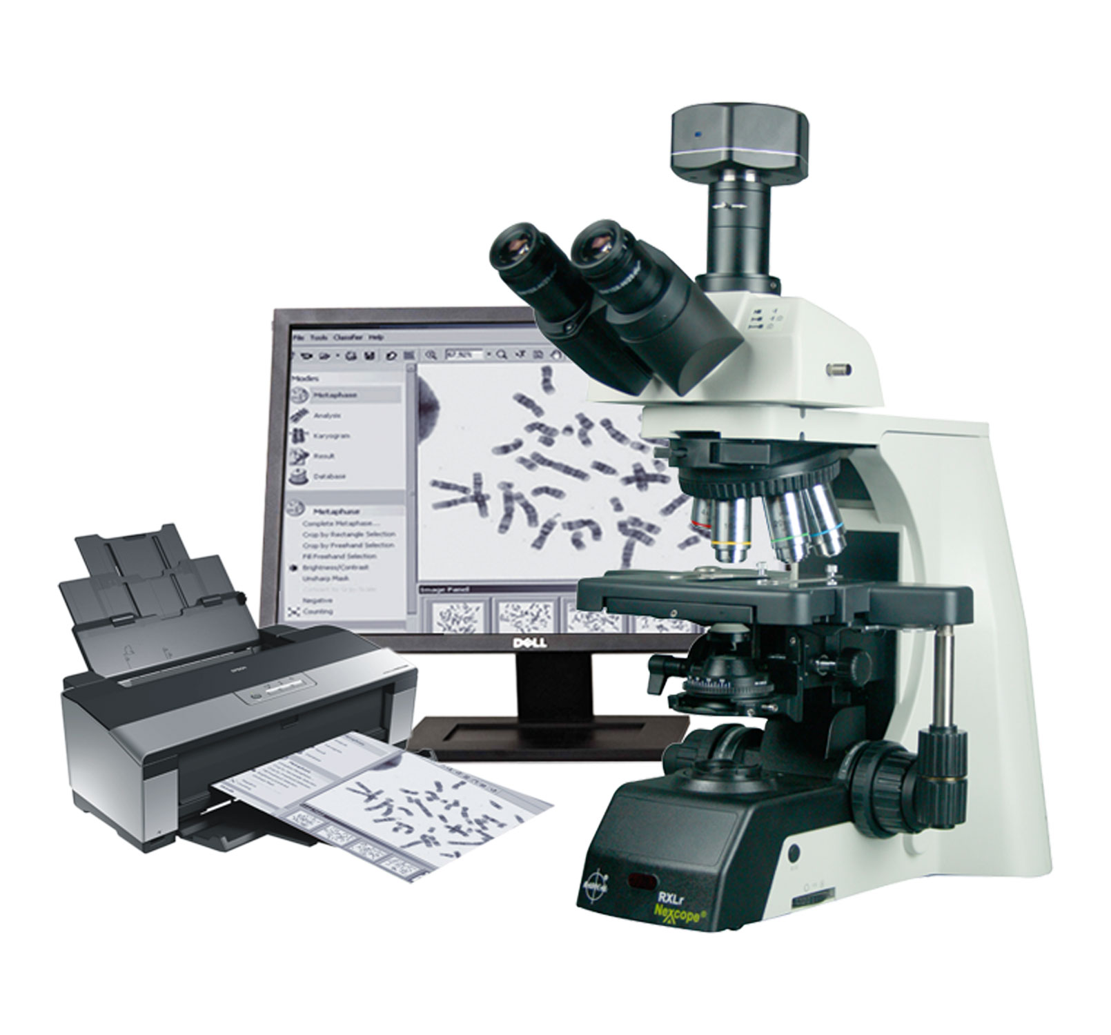 RI Karyo Life Sciences, Image Analysis Software, Digital Imaging