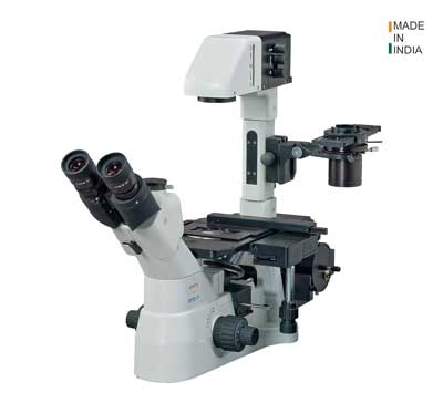 Inverted Microscopes