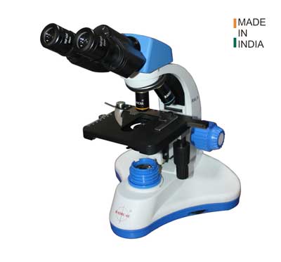 Upright Microscopes