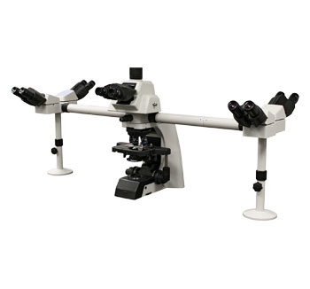 Penta Head Microscopes