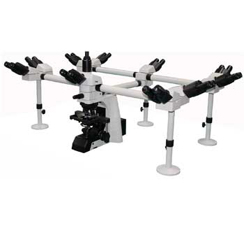 Multihead Teaching Decahead Microscope