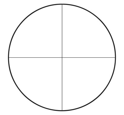 Eyepiece Graticule